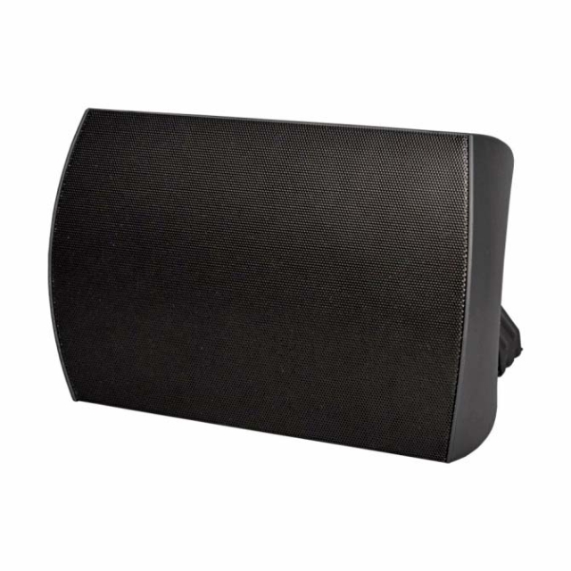 5.25" Black Surface Mount Speaker, Front Angle