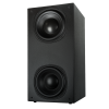 <strong>DCB210-SUB</strong><br>Custom Box Wall-Mount Dual 10-inch Subwoofer with built-in amplifier
